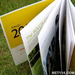 寧波樣本設(shè)計(jì)的藝術(shù)與商業(yè)價(jià)值——專業(yè)樣本畫冊設(shè)計(jì)公司與廣告發(fā)布服務(wù)的深度解析