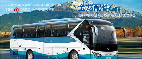 汽車火花塞市場分析 廠家、經(jīng)銷商、維修廠地址、價格及北邁網(wǎng)汽后通在小微型客車領(lǐng)域的應(yīng)用